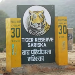 sarisaka 3